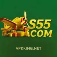 S55 Game logo featuring a golden airplane and coins on a green background